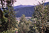 Holda von oben
August 2002
Rumänienfotos