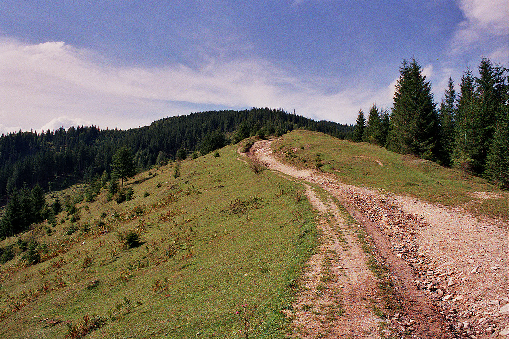 &copy; <a href='http://rtol.de' title='Dynamische Webseiten mit (X)HTML, PHP, MySQL und CSS für Ihren Internet-Auftritt' target='_blank'>Thiel-IT</a>
Holda von oben
August 2002
Rumänienfotos