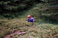 Die Kinder
August 2002
Rumänienfotos