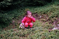 Die Kinder
August 2002
Rumänienfotos